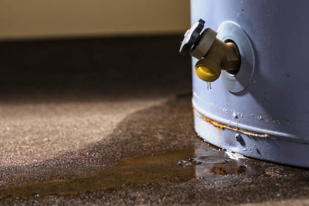 Farmersville, OH Water damage restoration Pros