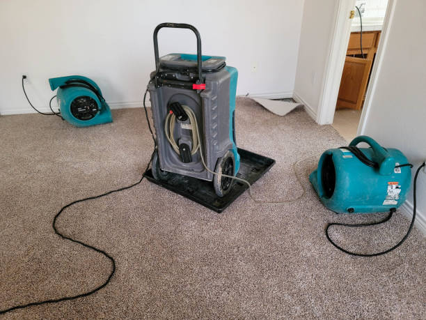 Best Professional water damage repair  in Farmersville, OH