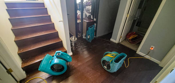 Best 24-hour water damage restoration  in Farmersville, OH