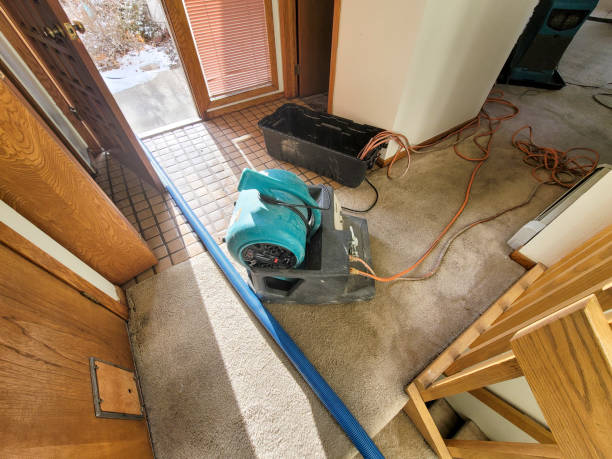 Best Water damage restoration near me  in Farmersville, OH