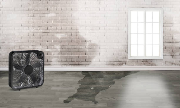 Water damage restoration process in Farmersville, OH