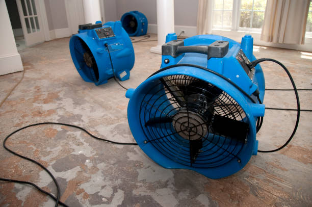 Best Local water damage restoration  in Farmersville, OH