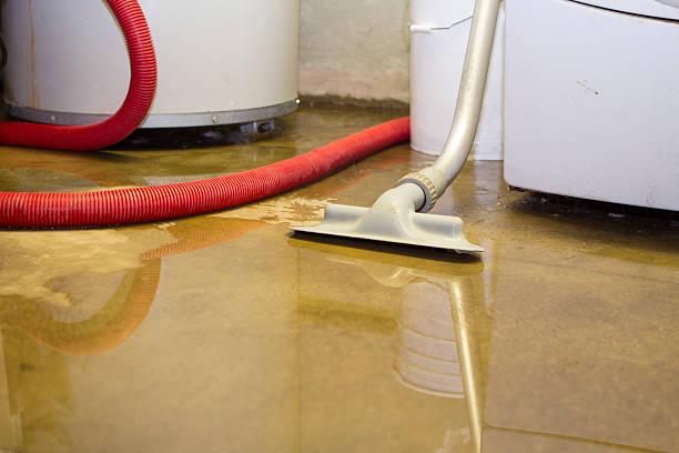 Best Water damage mitigation services  in Farmersville, OH