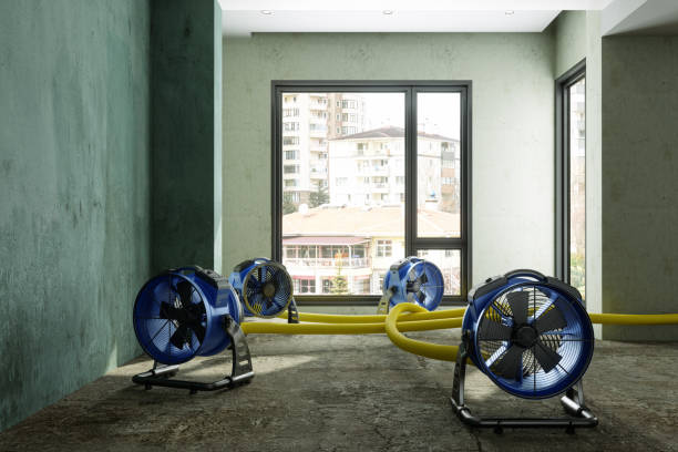Best Carpet water damage restoration  in Farmersville, OH